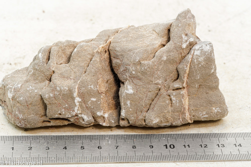 Elephant Skin Rock S87 - Hardscape.nl