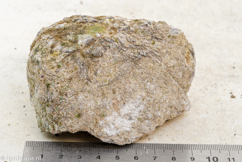 Elephant Skin Rock S88 - Hardscape.nl