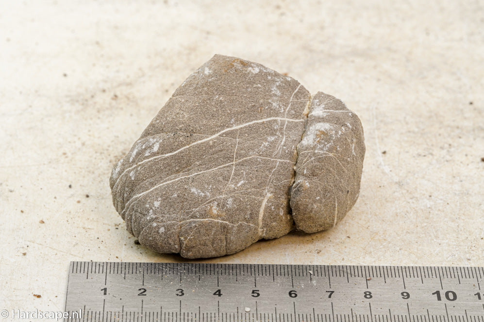 Elephant Skin Rock S90 - Hardscape.nl