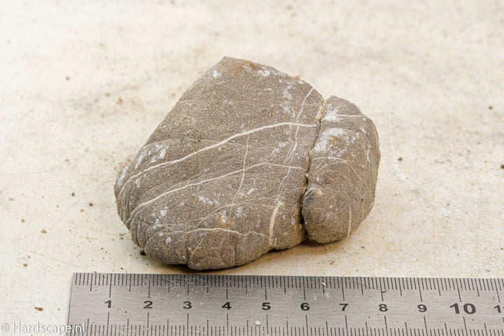 Elephant Skin Rock S90 - Hardscape.nl