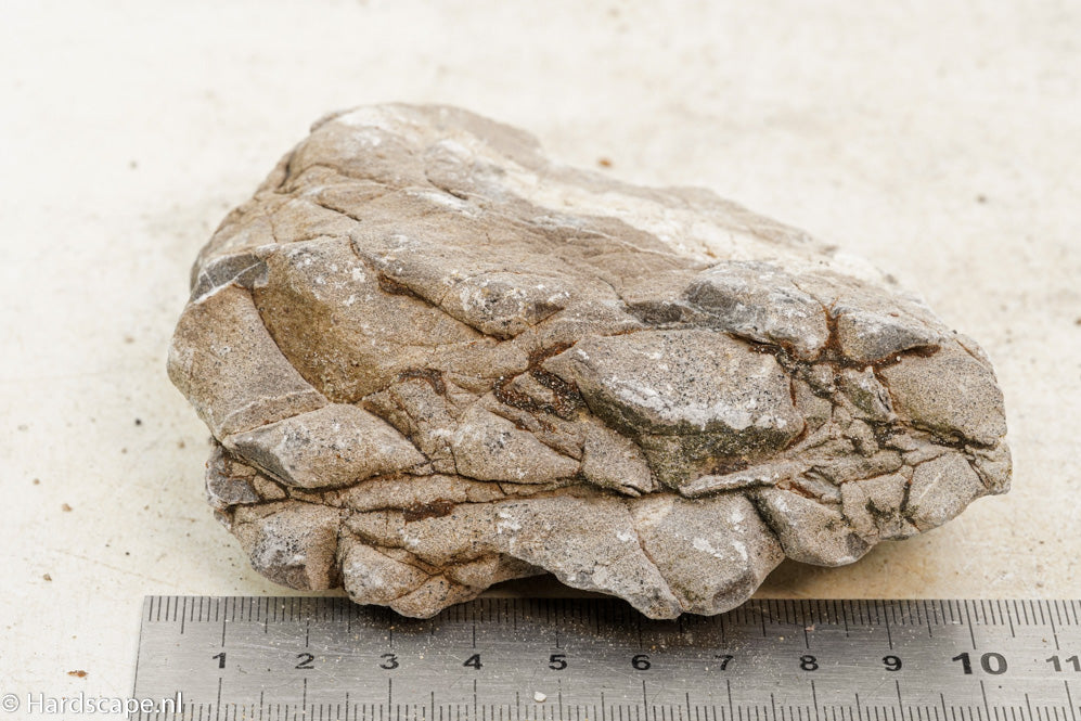 Elephant Skin Rock S91 - Hardscape.nl