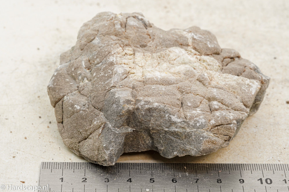 Elephant Skin Rock S91 - Hardscape.nl