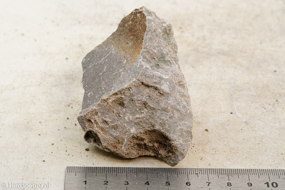 Elephant Skin Rock S93 - Hardscape.nl