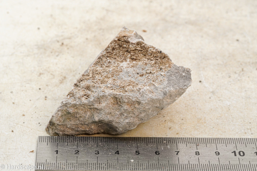 Elephant Skin Rock S93 - Hardscape.nl