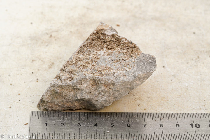 Elephant Skin Rock S93 - Hardscape.nl