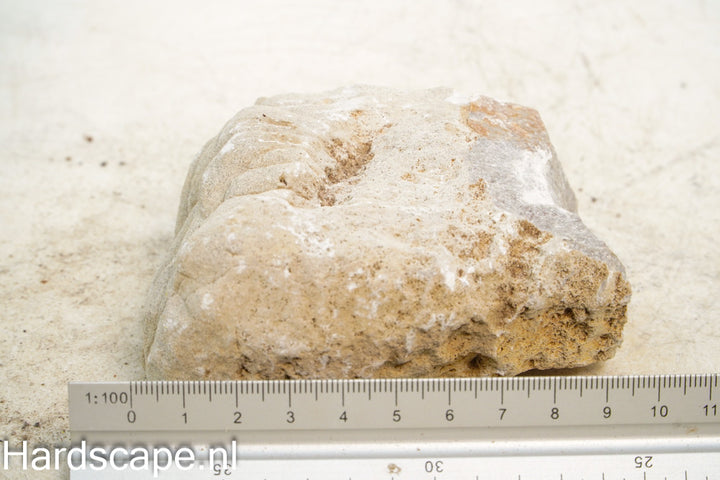 Elephant Skin Rock M139 - Hardscape.nl