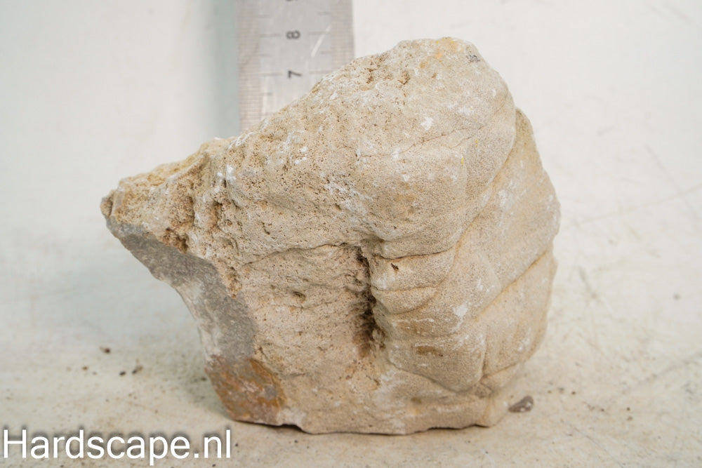 Elephant Skin Rock M139 - Hardscape.nl