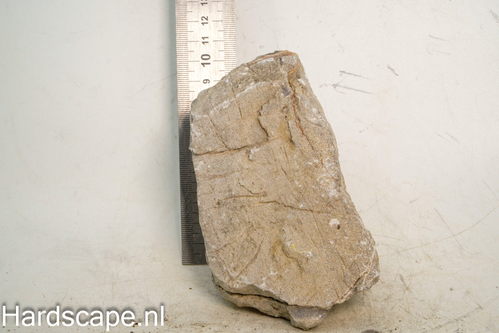 Elephant Skin Rock M141 - Hardscape.nl
