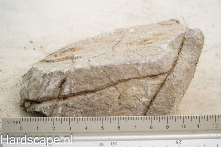 Elephant Skin Rock M141 - Hardscape.nl