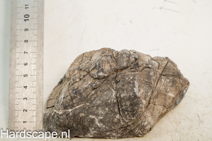 Elephant Skin Rock M145 - Hardscape.nl