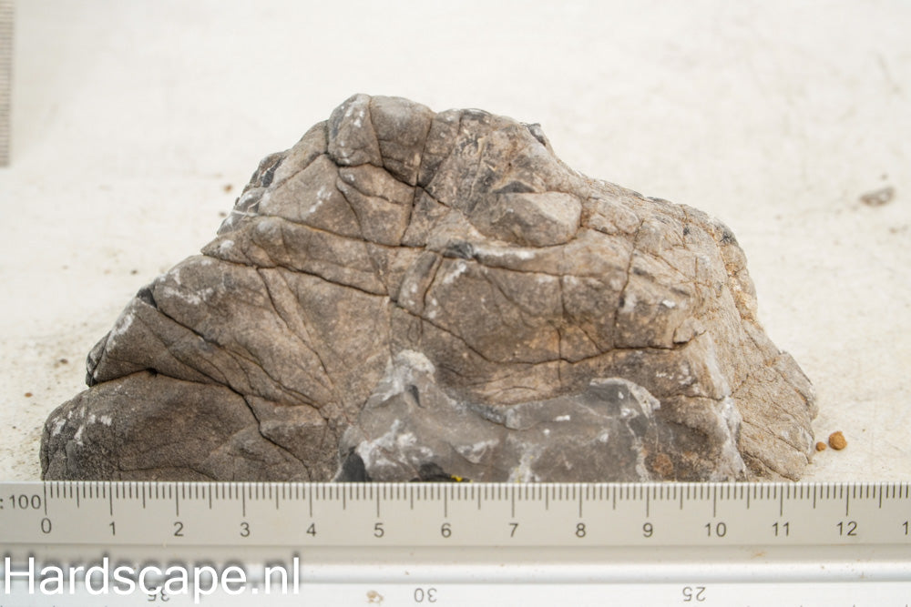 Elephant Skin Rock M145 - Hardscape.nl