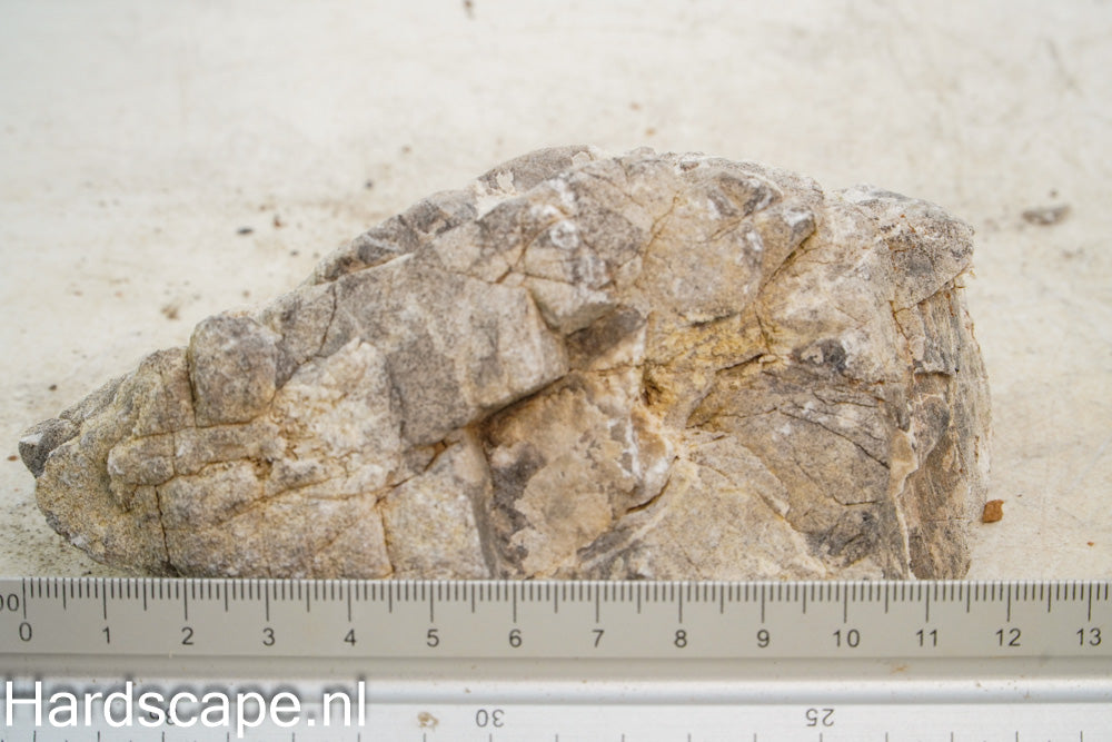 Elephant Skin Rock M147 - Hardscape.nl