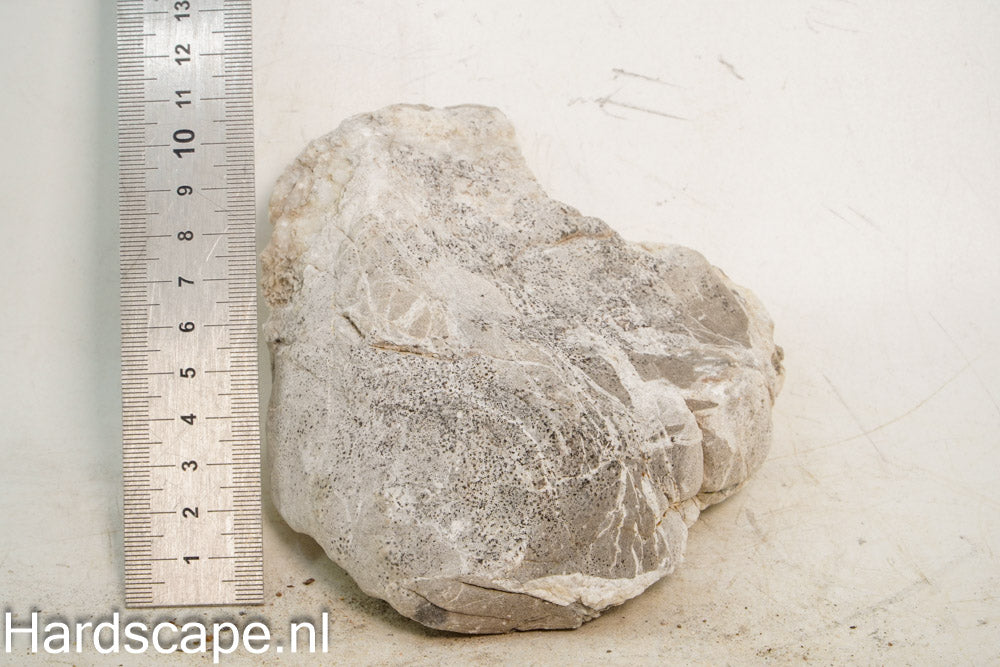 Elephant Skin Rock M149 - Hardscape.nl