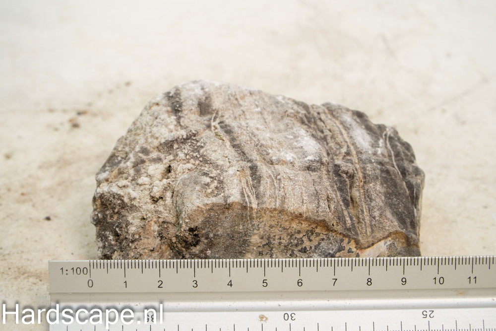 Elephant Skin Rock M150 - Hardscape.nl