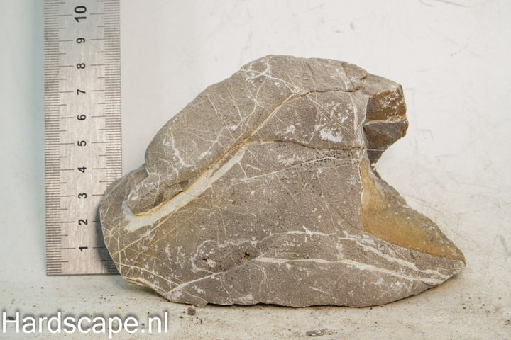 Elephant Skin Rock M153 - Hardscape.nl