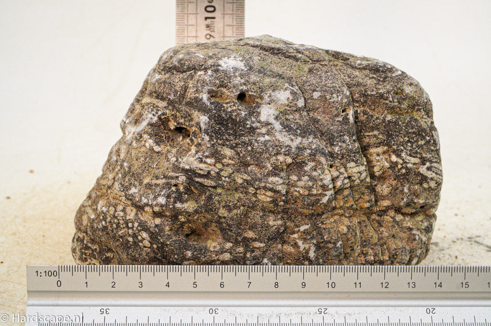 Elephant Skin Rock L52