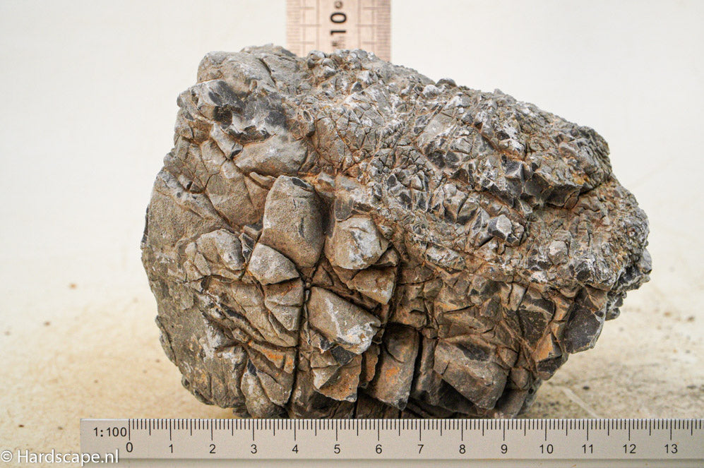 Elephant Skin Rock L87