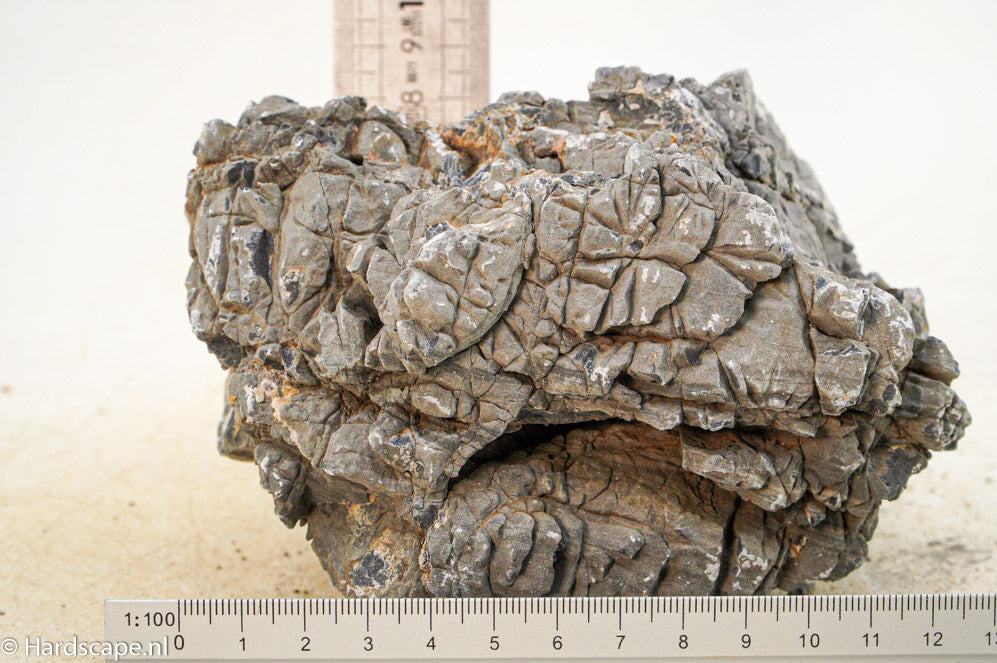 Elephant Skin Rock L88