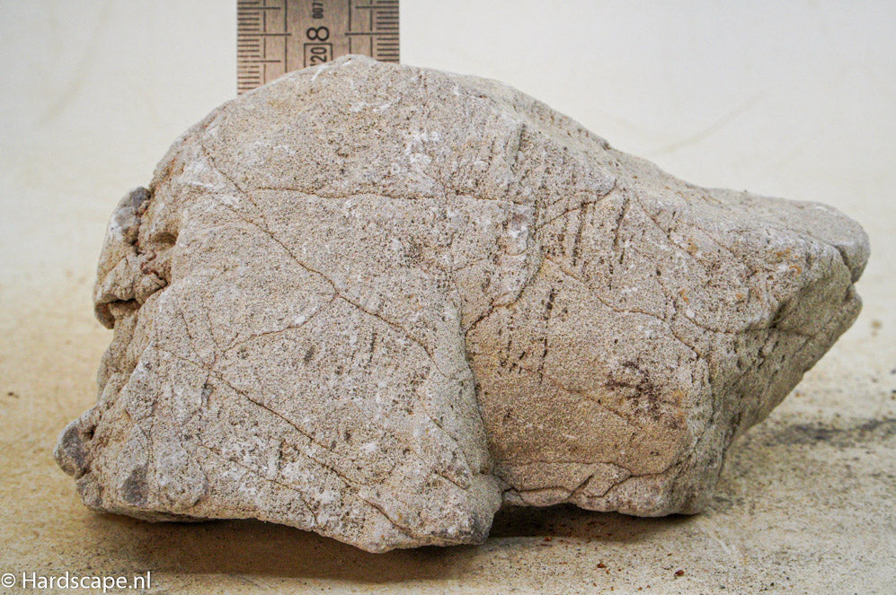 Elephant Skin Rock M104