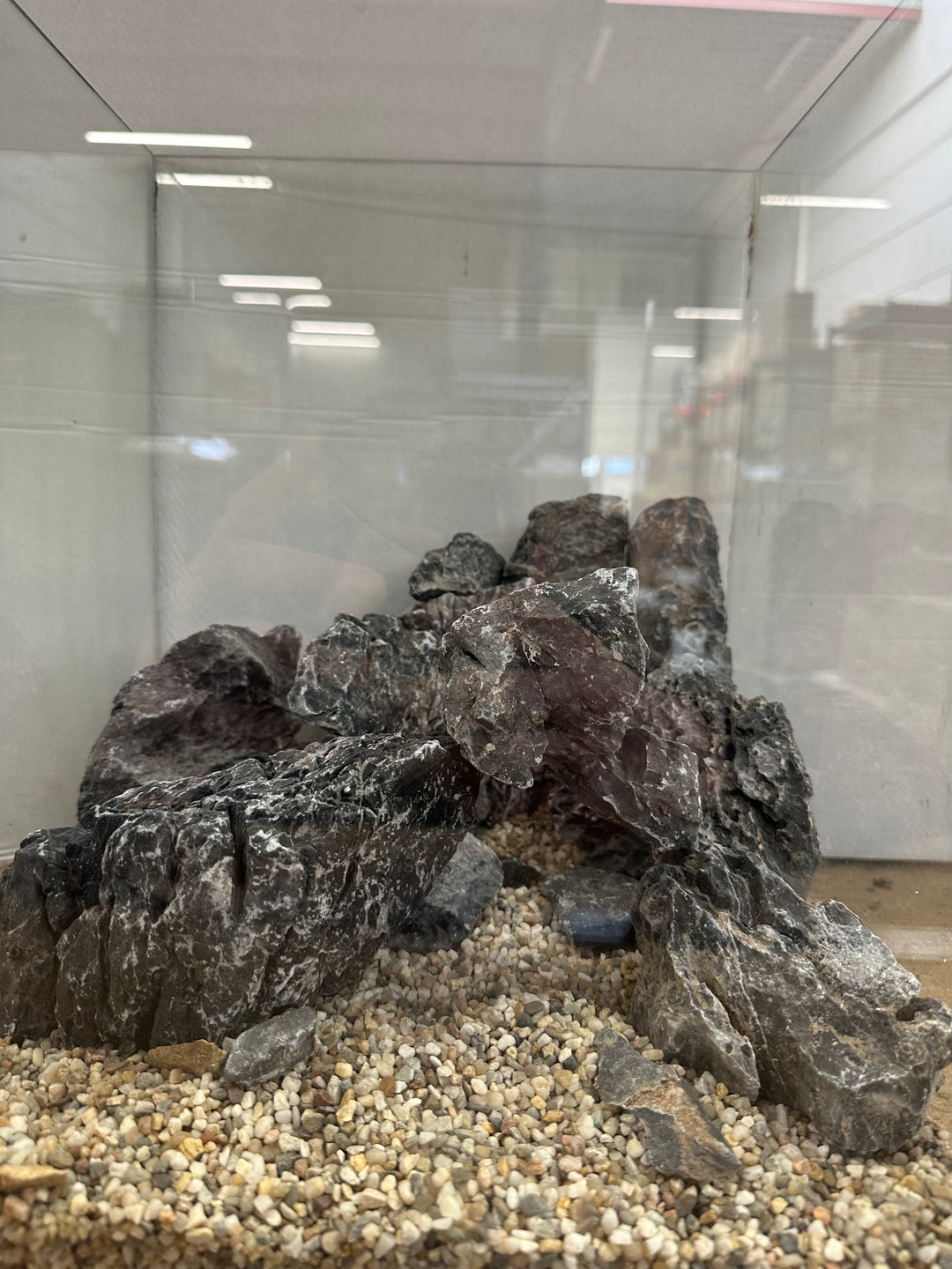 Dark Seiryu scape - Hardscape.nl
