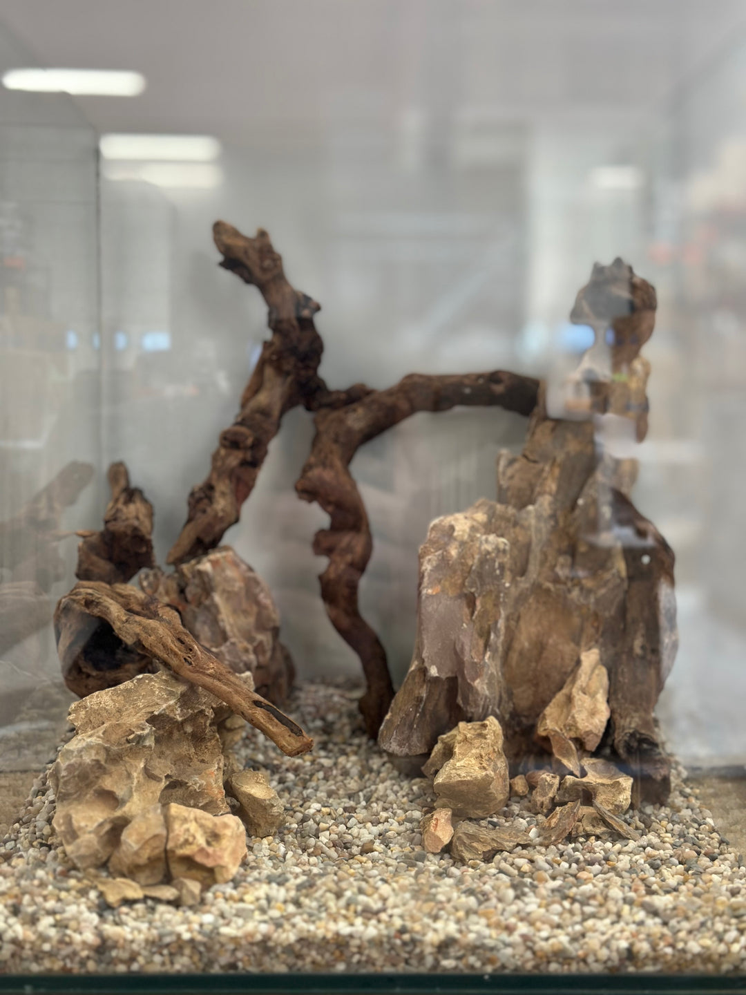 Dragon Scape - Hardscape.nl