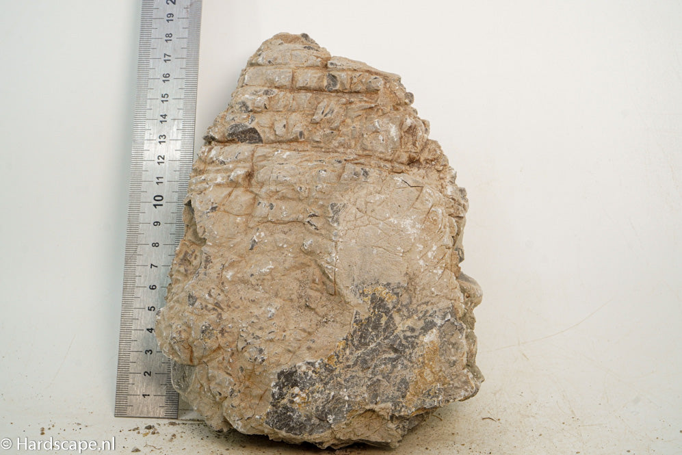 Geo Rock L16 - Hardscape.nl