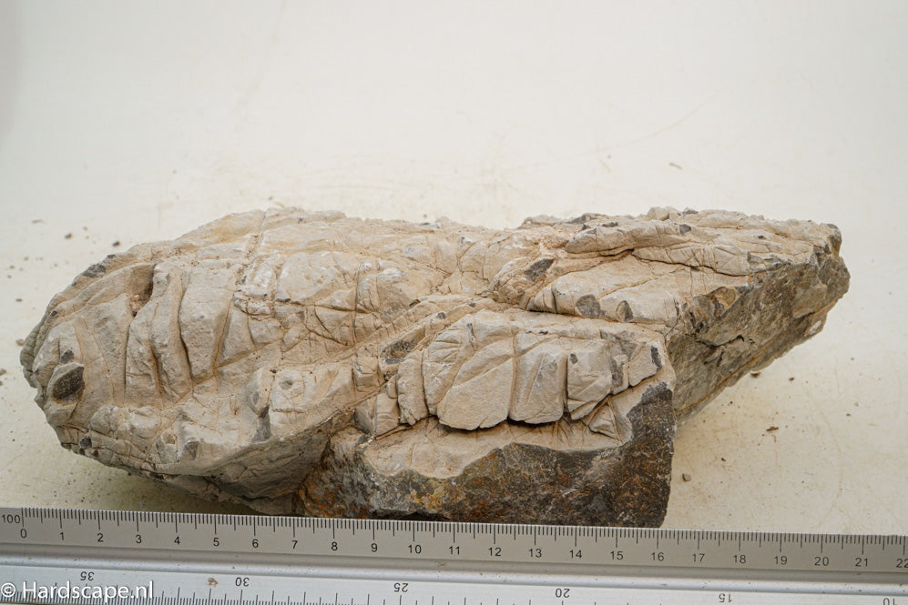 Geo Rock L20 - Hardscape.nl