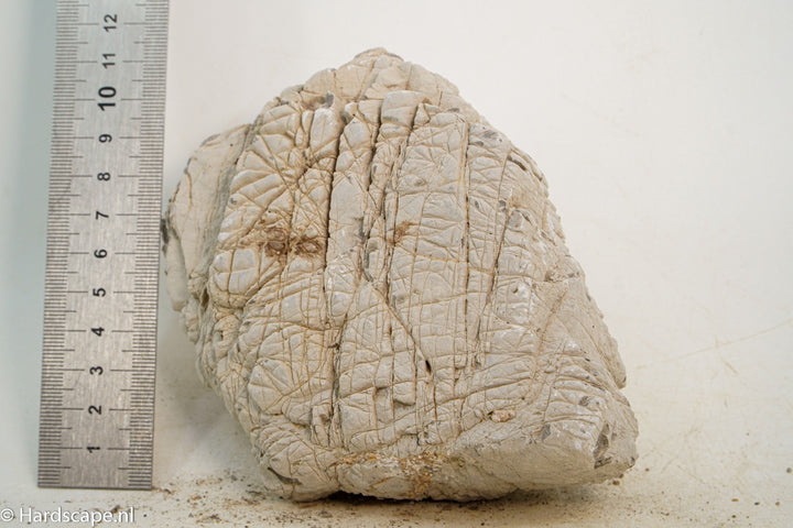 Geo Rock S29 - Hardscape.nl