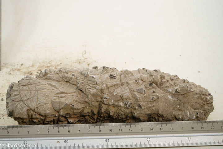 Geo Rock S36 - Hardscape.nl