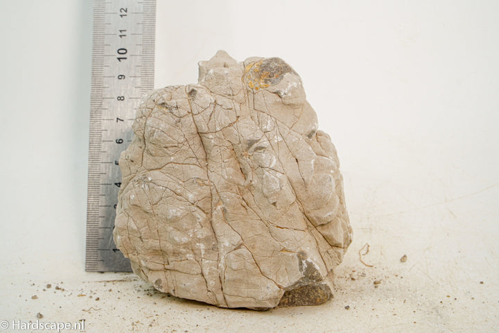 Geo Rock S39 - Hardscape.nl