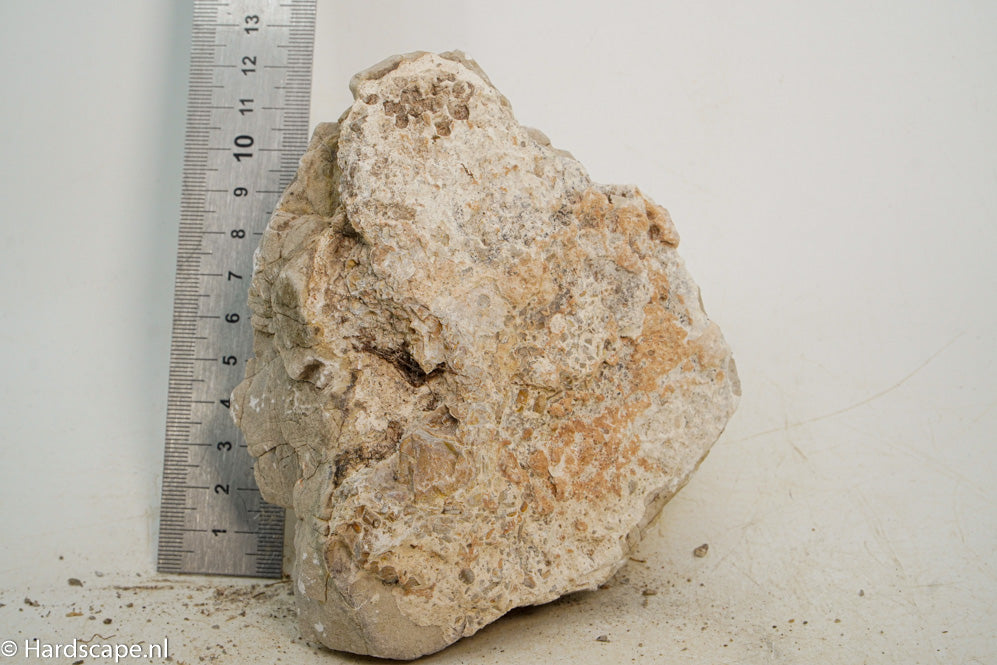 Geo Rock S40 - Hardscape.nl