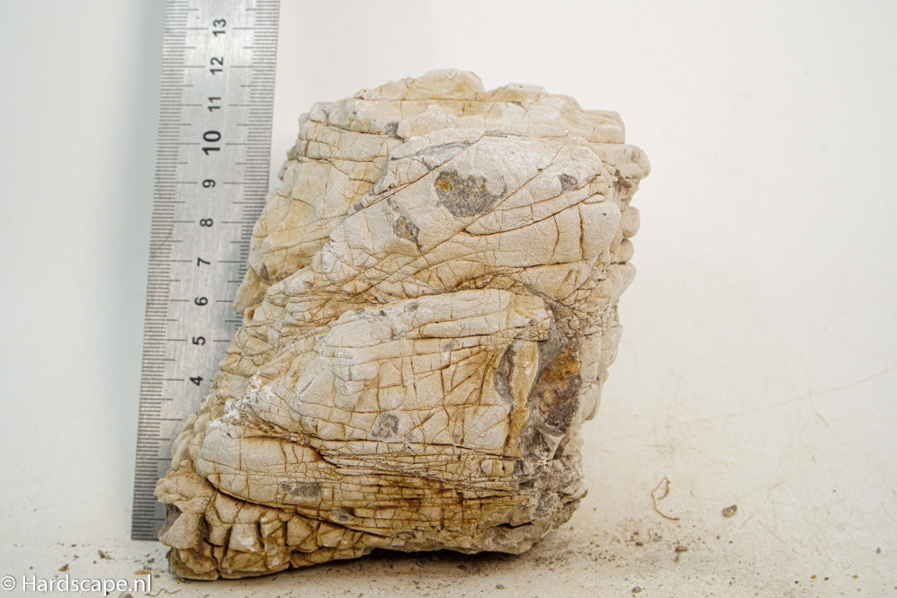 Geo Rock S41 - Hardscape.nl