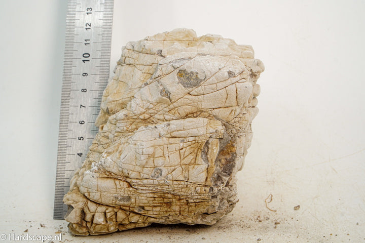Geo Rock S41 - Hardscape.nl
