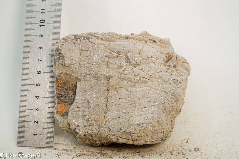 Geo Rock S45 - Hardscape.nl