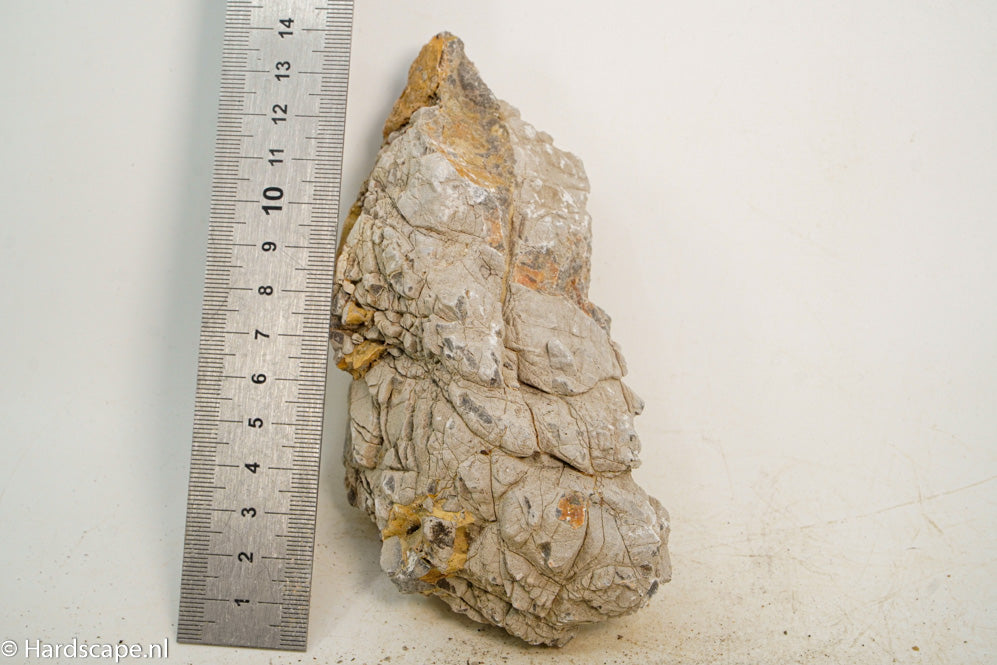 Geo Rock XS010 - Hardscape.nl