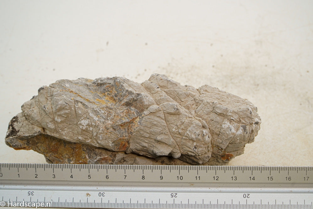 Geo Rock XS010 - Hardscape.nl