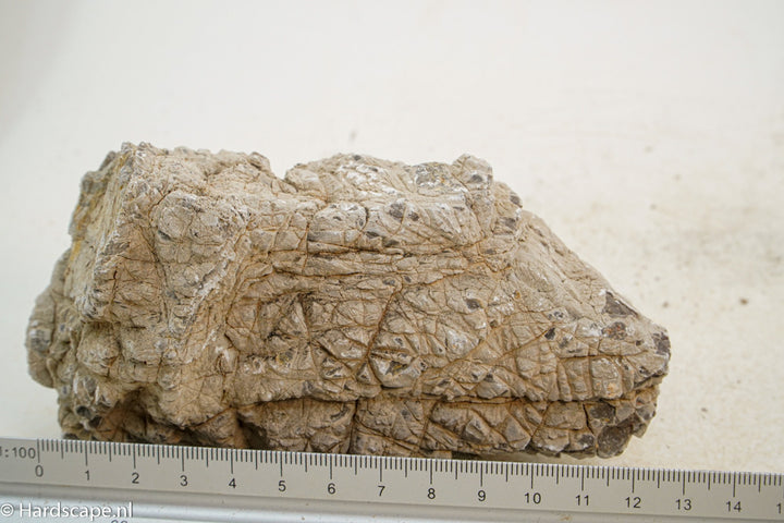 Geo Rock XS011 - Hardscape.nl