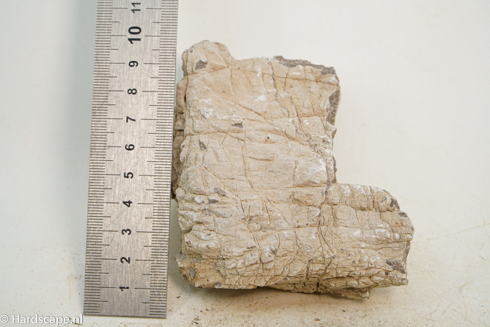 Geo Rock XS015 - Hardscape.nl