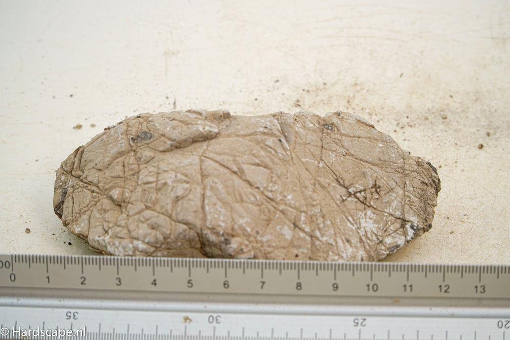 Geo Rock XS017 - Hardscape.nl