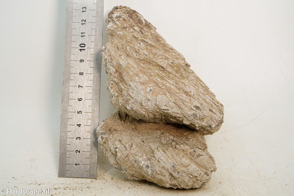 Geo Rock XS019 - Hardscape.nl