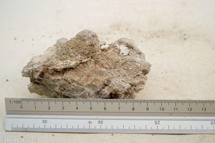 Geo Rock XS020 - Hardscape.nl