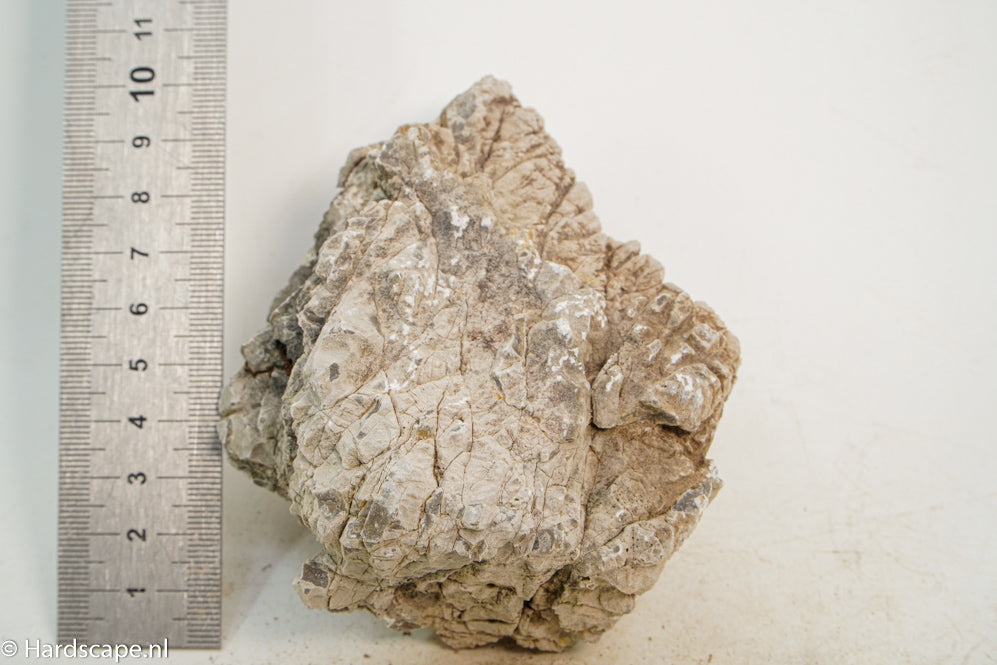 Geo Rock XS021 - Hardscape.nl