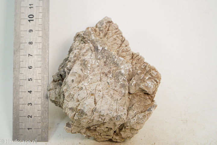 Geo Rock XS021 - Hardscape.nl