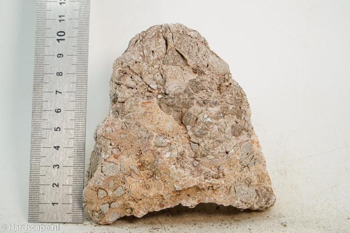 Geo Rock XS026 - Hardscape.nl
