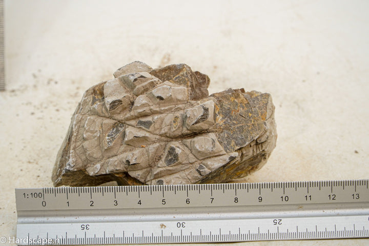 Geo Rock XS028 - Hardscape.nl
