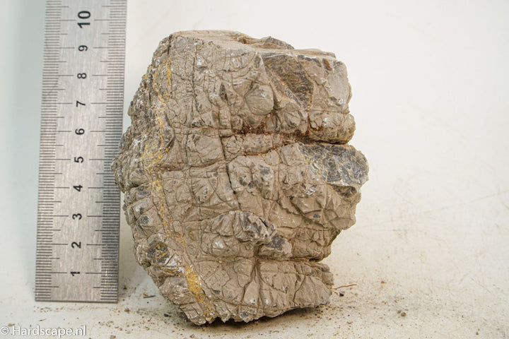 Geo Rock XS029 - Hardscape.nl