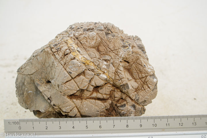 Geo Rock XS029 - Hardscape.nl