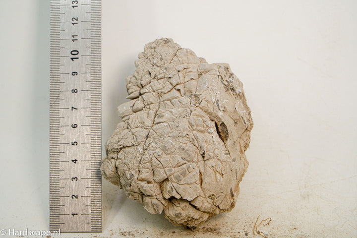 Geo Rock XS033 - Hardscape.nl