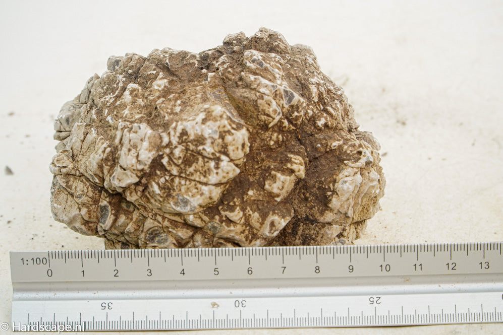Geo Rock XS033 - Hardscape.nl