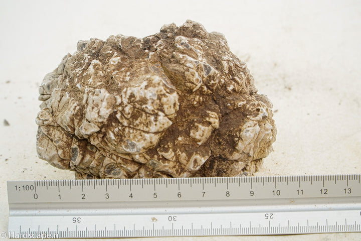 Geo Rock XS033 - Hardscape.nl